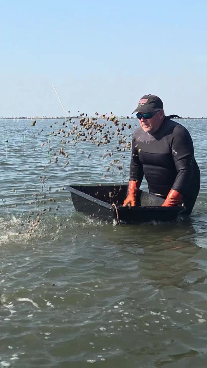 Paul working the clam beds