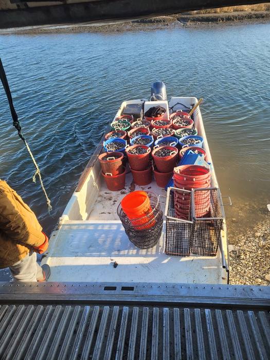Boat in — straight to the dock