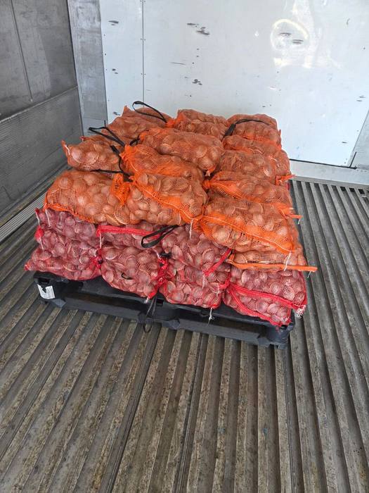 Bagged and tagged for dock pickup